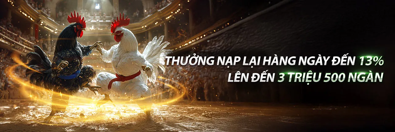 Đá Gà Trực Tiếp Thomo Thứ 6